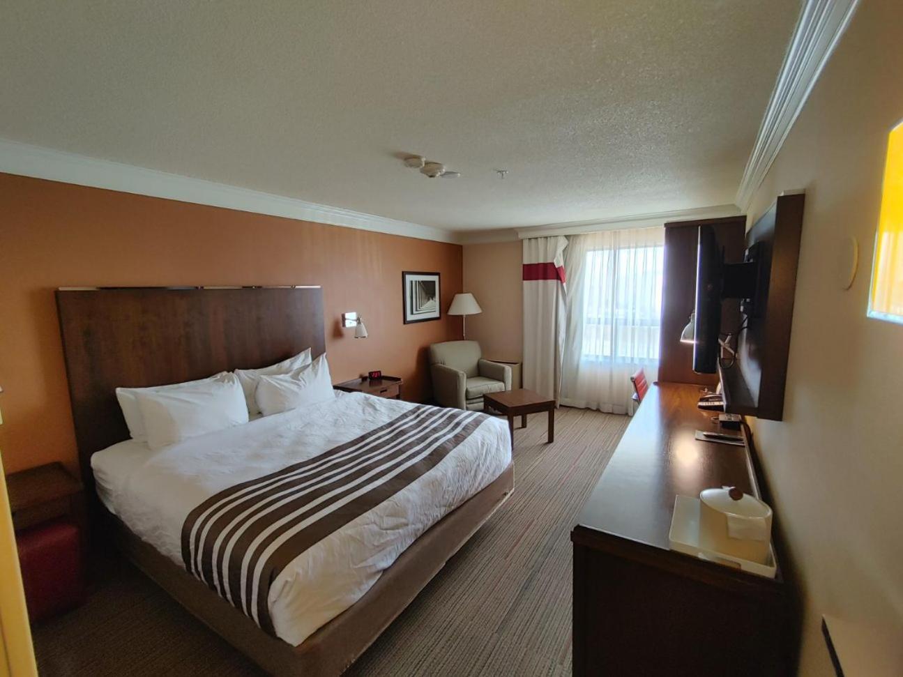 Waterloo Suites Hotel, Trademark Collection By Wyndham Eksteriør billede